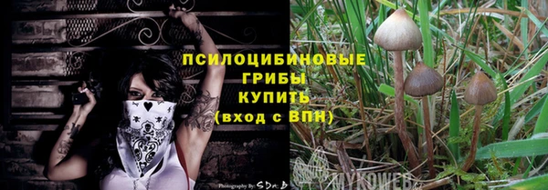 a pvp Краснослободск