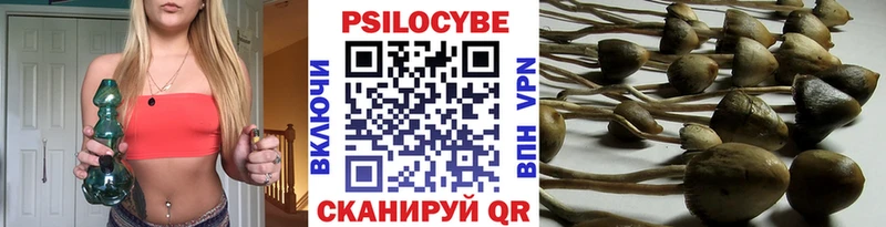 Купить закладки  Череповец  Галлюциногенные грибы мицелий 